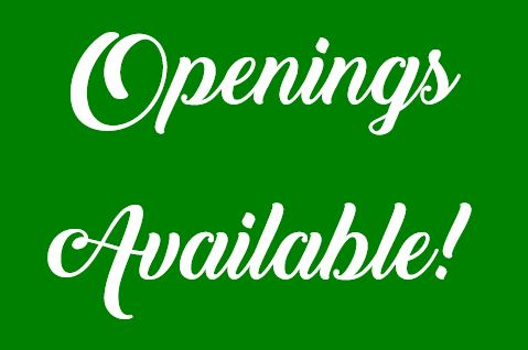 Metro Openings Available! - Samuelson Elementary School